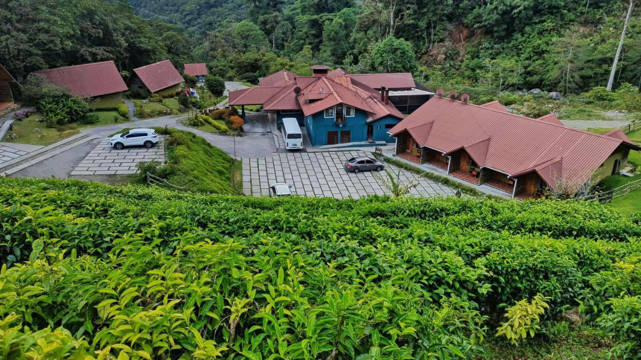 Tree Trek Boquete Adventure Park Hotel Exterior photo