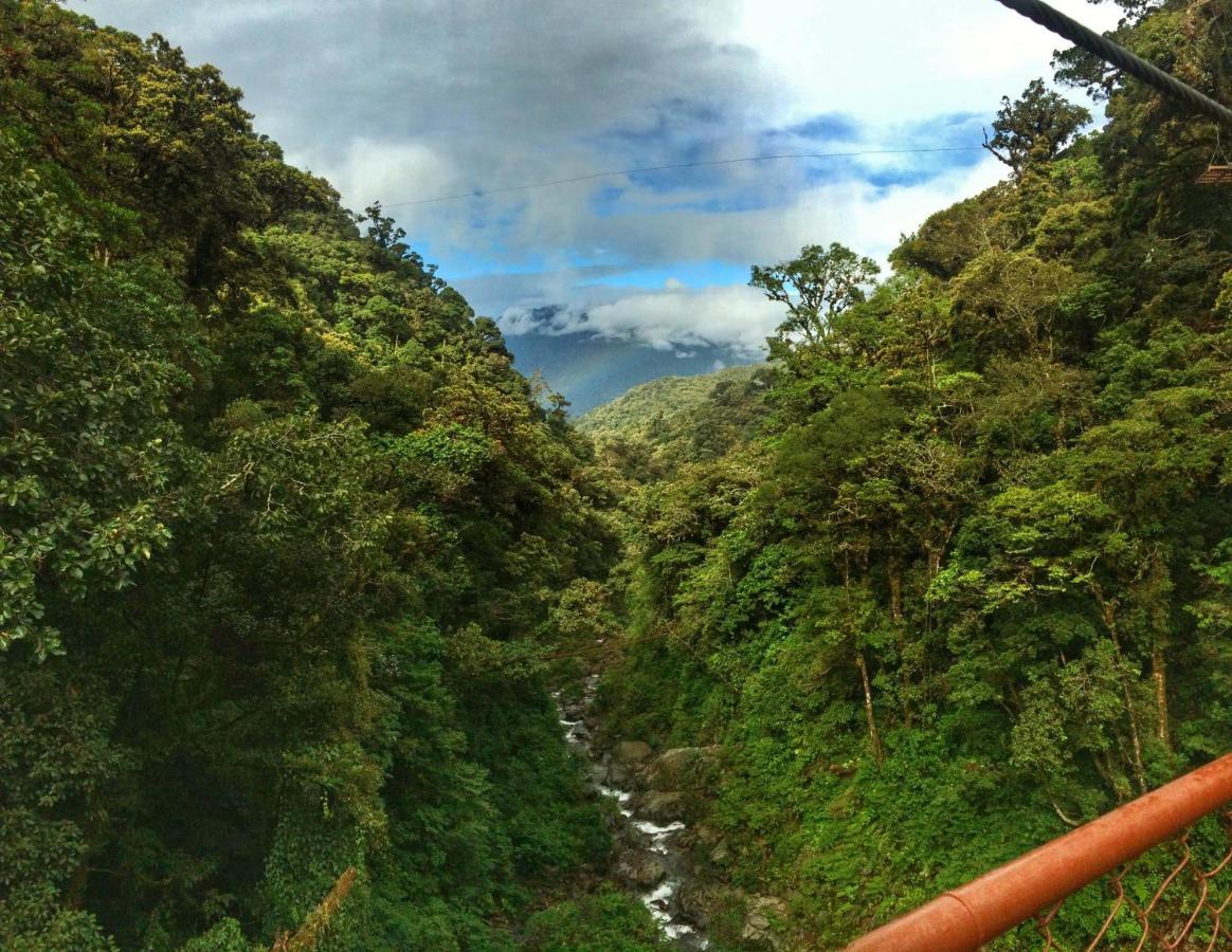 Tree Trek Boquete Adventure Park Hotel Exterior photo